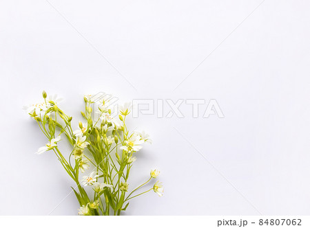 Wildflowers bouquet on white background. Flat lay, top view Wildflowers bouquet on white background. Flat lay, top view 84807062