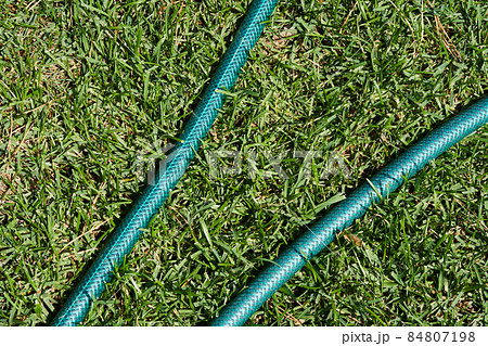 On the green lawn there is a hose for watering plants. High quality photo 84807198