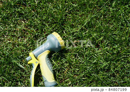 On the green lawn there is a hose for watering plants. A water hose with a sprayer for watering plants in the garden. Gardening concept. High quality photo On the green lawn there is a hose for watering plants. A water hose with a sprayer for watering plants in the garden. Gardening concept. High quality photo 84807199