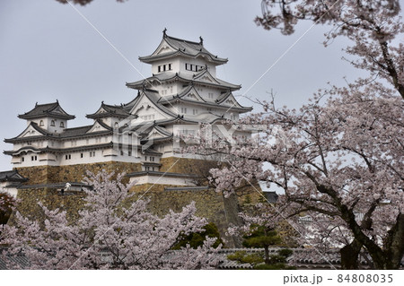 日本の兵庫県の姫路市 世界遺産で国宝でもある姫路城 春の桜と立派な天守閣 日本の兵庫県の姫路市 世界遺産で国宝でもある姫路城 春の桜と立派な天守閣 84808035