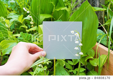 野生のスズランの花と灰色のタイトルカードのモックアップの写真素材