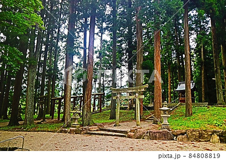 気多若宮神社 気多若宮神社 84808819