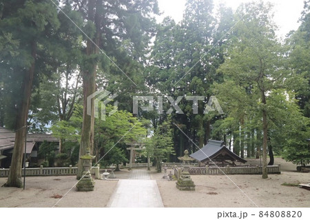 気多若宮神社 気多若宮神社 84808820