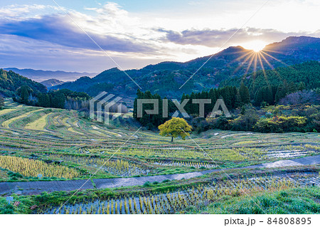 【千葉県】稲刈りの終わった、秋の大山千枚田 日の出 【千葉県】稲刈りの終わった、秋の大山千枚田 日の出 84808895