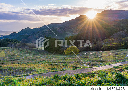 【千葉県】稲刈りの終わった、秋の大山千枚田　日の出 84808898