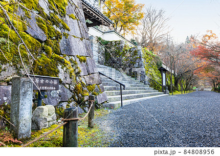 晩秋の京都 大原三千院 参道 晩秋の京都 大原三千院 参道 84808956