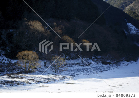 雪が積もる朝の椿山ダム湖 雪が積もる朝の椿山ダム湖 84809373