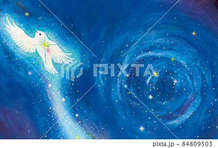 星空に飛ぶ　光る鳥 84809503