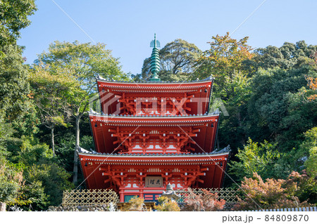 岐阜公園 三重塔 大正天皇即位記念 岐阜公園 三重塔 大正天皇即位記念 84809870