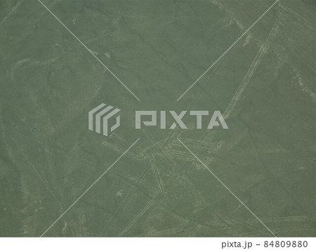 【ペルー】ナスカの地上絵:イヌ 【ペルー】ナスカの地上絵:イヌ 84809880