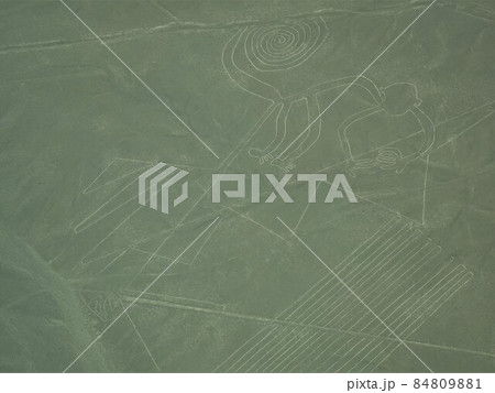 【ペルー】ナスカの地上絵:サル 【ペルー】ナスカの地上絵:サル 84809881