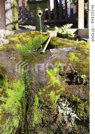 八坂神社 ご神水(力水) 八坂神社 ご神水(力水) 84810246