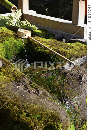 八坂神社 ご神水(力水) 八坂神社 ご神水(力水) 84810247