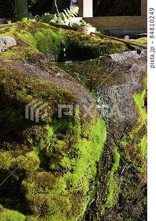 八坂神社　ご神水（力水） 84810249