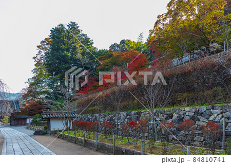 絶景奈良県、古刹巡礼、山の辺、飛鳥、宇陀エリアぶらぶら紅葉巡り 絶景奈良県、古刹巡礼、山の辺、飛鳥、宇陀エリアぶらぶら紅葉巡り 84810741