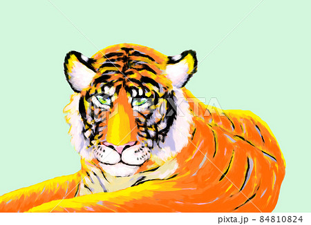 とら とら 84810824