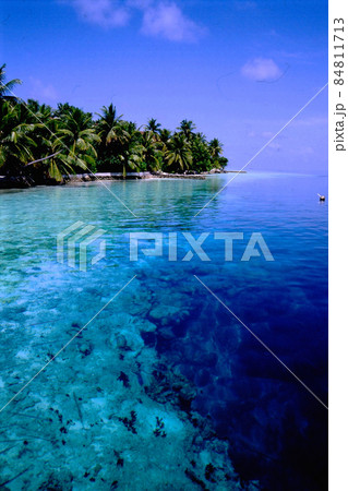MaldivesRanveliの風景 MaldivesRanveliの風景 84811713