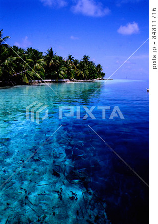 MaldivesRanveliの風景 MaldivesRanveliの風景 84811716