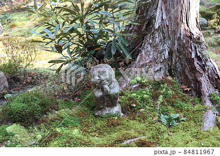 大樹の下の苔や草木の生えたところに手を合わせたお地蔵様のいる風景の写真素材 [84811967] - PIXTA