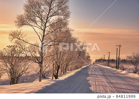 厳冬期の道東地方の雪景色 厳冬期の道東地方の雪景色 84811999