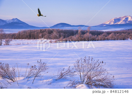 厳冬期の道東地方の雪景色 84812146