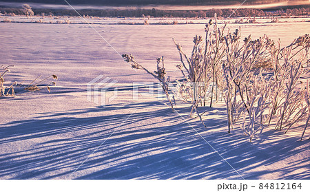 厳冬期の道東地方の雪景色 84812164