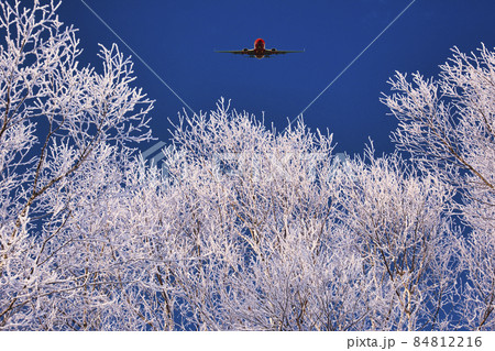 厳冬期の道東地方の霧氷の木 84812216