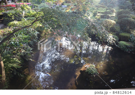 こもれ陽をあふれる緑の草木と苔の庭と波紋の広がる空と木々を写す水面の池と赤い敷物の敷かれた外縁の風景 こもれ陽をあふれる緑の草木と苔の庭と波紋の広がる空と木々を写す水面の池と赤い敷物の敷かれた外縁の風景 84812614