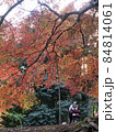 紅葉 84814061