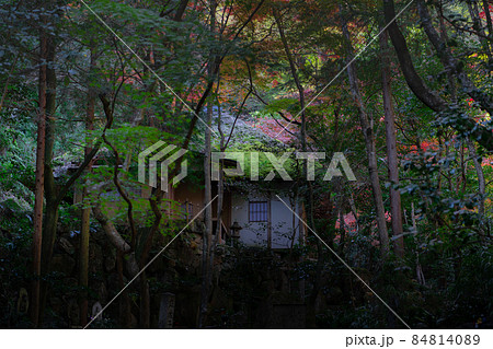 広島市西区にある三瀧寺境内と紅葉 広島市西区にある三瀧寺境内と紅葉 84814089
