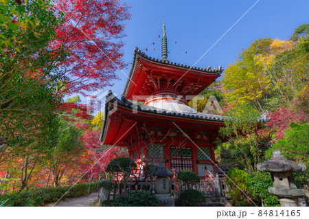 広島市西区にある三瀧寺境内と紅葉 84814165