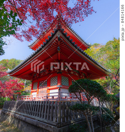 広島市西区にある三瀧寺境内と紅葉 84814166