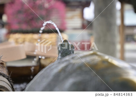 亀戸天神社 亀口の手水舎 亀戸天神社 亀口の手水舎 84814363