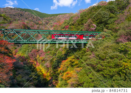 神奈川県箱根町　紅葉と出山鉄橋 84814731