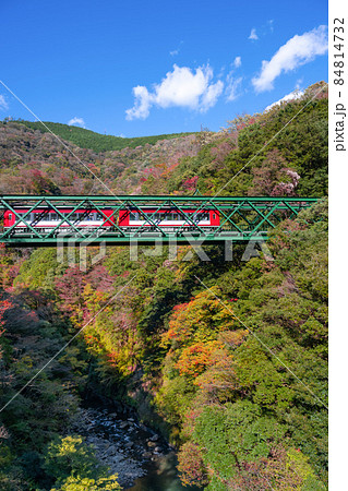 神奈川県箱根町 紅葉と出山鉄橋 神奈川県箱根町 紅葉と出山鉄橋 84814732