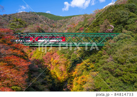 神奈川県箱根町　紅葉と出山鉄橋 84814733