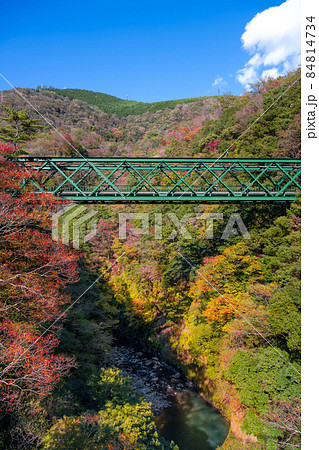 神奈川県箱根町　紅葉と出山鉄橋 84814734