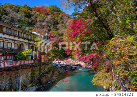 神奈川県箱根町　紅葉と早川 84814821