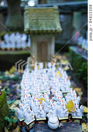 秋の佐助稲荷神社 84815308