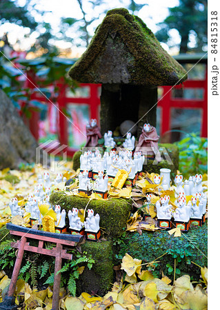 秋の佐助稲荷神社 秋の佐助稲荷神社 84815318