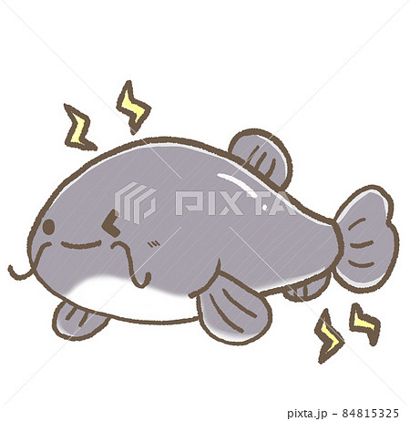 R:もっとメルヘンな水族館☆デンキナマズ②a R:もっとメルヘンな水族館☆デンキナマズ②a 84815325