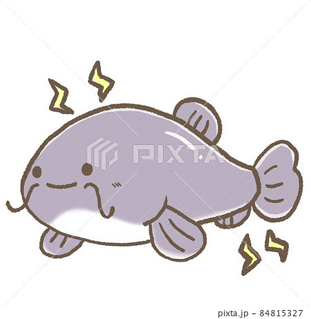 R もっとメルヘンな水族館 デンキナマズ のイラスト素材