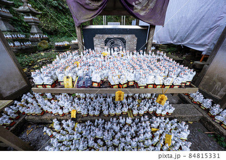 秋の佐助稲荷神社 秋の佐助稲荷神社 84815331