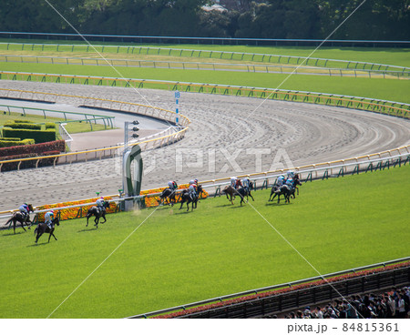 競馬　芝コース 84815361