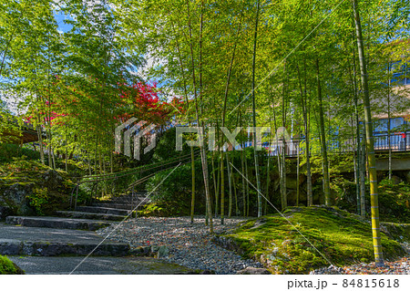 紅葉の箱根美術館 84815618