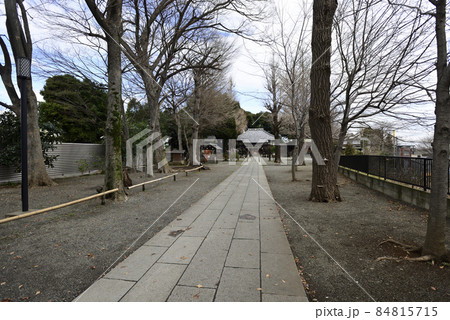 平塚神社　参道 84815715