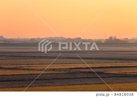 早朝の田園風景 (千葉県柏市) 早朝の田園風景 (千葉県柏市) 84816038