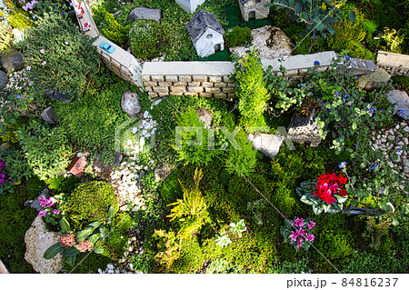 福井県グリーンセンター 84816237