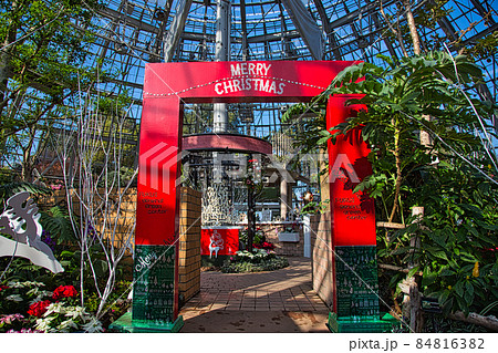 福井県グリーンセンター 福井県グリーンセンター 84816382