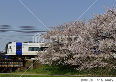 名鉄ミュースカイ桜の横を走行 84816885